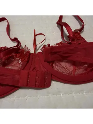 Victoria’s Secret Red Embroidery Mesh Sheer Unlined Bra 34C Underwire thumbnail 4