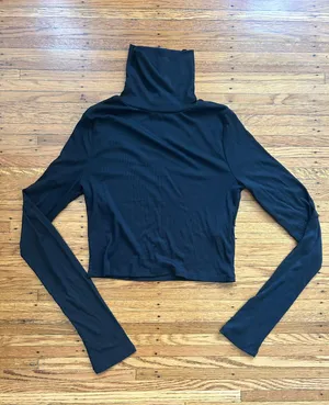 Aritzia Cropped Ribbed Turtleneck thumbnail 1