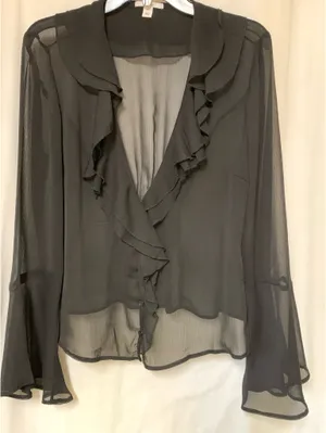 Bar III Sheer Black Blouse Long Sleeve Ruffled Sz L thumbnail 1
