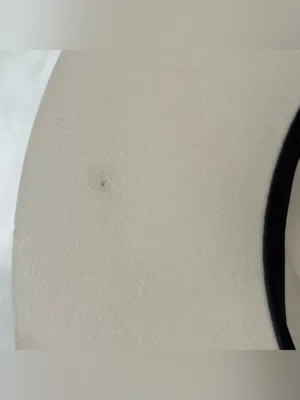 Lovely Bird Montana Fedora Wool Hat Small Cream Feather Boho Chic Western Malibu thumbnail 10