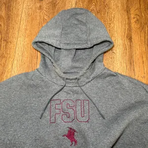 Nike Team FSU Florida State Seminoles Hoodie Sweatshirt Gray Womens L College thumbnail 9