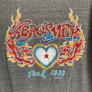 NWT‎ Daydreamer Aerosmith Tour Tee in Gray thumbnail 4