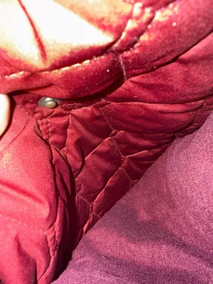 Eddie Bauer Women's Quilted Lightweight Zip-Up Jacket in Burgundy thumbnail 3