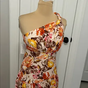 Petal & Pup Marietta One Shoulder Maxi Dress thumbnail 6