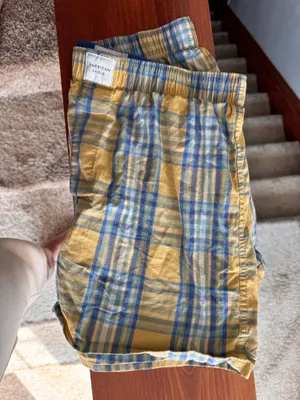 American Eagle Boy Shorts  thumbnail 2
