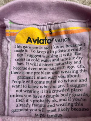 Aviator Nation Mauve Logo Relaxed Crewneck Sweatshirt Small Sold Out! Loungewear thumbnail 3