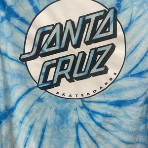 Santa Cruz Skateboards Blue Oversized Long Sleeve Tee thumbnail 4