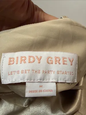 Birdy Grey NWT Lisa Long Shiny Satin Dress Neutral Champagne Size M thumbnail 5