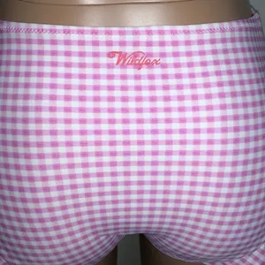 New. WILDFOX Gingham Frill bikini bottom. NWT thumbnail 8