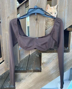 Princess Polly Becca Long Sleeve Crop Top Brown thumbnail 2