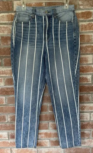 American Eagle Striped Mom Jeans Size 4 thumbnail 1