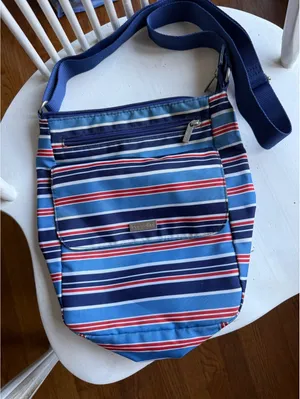 Baggallini Blue Multi-Color Stripe Crossbody Bag thumbnail 1