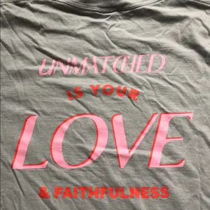 Comfort Colors Light Sage Crewneck T-Shirt with Pink Chest Logo thumbnail 4