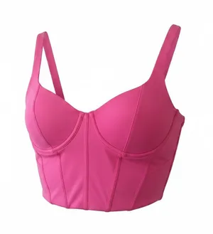 Gilly Hicks Vibrant Pink Longline Underwire Bustier thumbnail 1