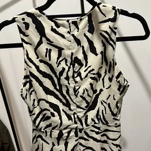 Nasty Gal Printed Zebra Maxi Dress 🦓 thumbnail 6