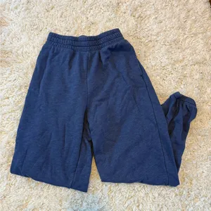American Eagle Outfitters Blue Joggers- Relaxed Fit thumbnail 1