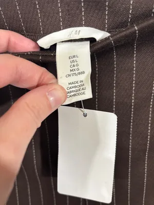 H&M Brown Pin Stripe Straight Leg Casual Pants Size L NEW thumbnail 4