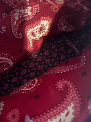 Vera Bradley Red Paisley Bag thumbnail 5