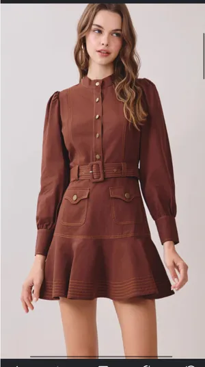 Brown Boutique Dress  thumbnail 1