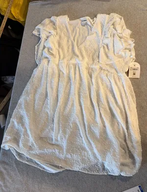 Arula White Swiss Dot Mini Dress NWT Size B 2X V-Neck Ruffle Sleeve Ivory thumbnail 1