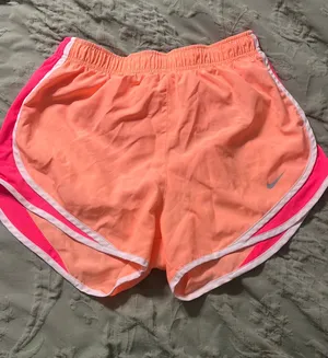 Nike Dri-Fit Shorts thumbnail 1