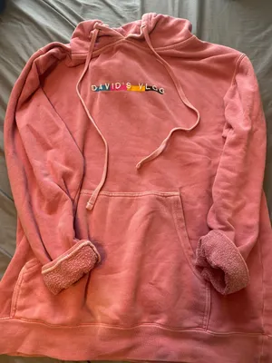 David Dobrik “Vlog Squad”  Hoodie thumbnail 2