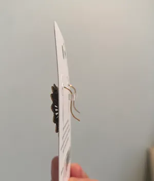 Earrings thumbnail 3