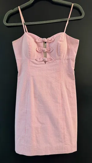 Lilly Pulitzer dress thumbnail 1