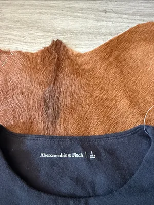 NWOT Abercrombie & Fitch Black Short Sleeve Bodysuit – Size Large thumbnail 4