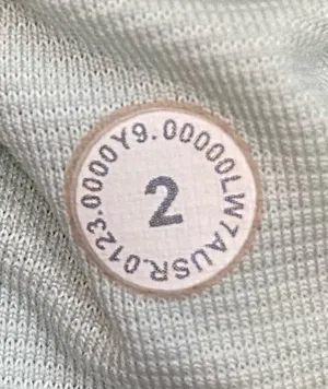 Lululemon Shorts thumbnail 4