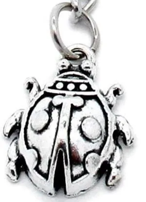 Personalized Double Sided Photo Keychain. Includes Heart Shape Silver Medal Keychain Spring Snap Clip with Lady Bug. thumbnail 3