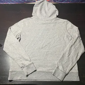 Gray Dog Lover Hoodie - I Just Want To Hang Out With My Dog thumbnail 5