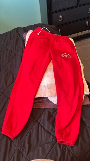 PacSun champion sweatpants thumbnail 1