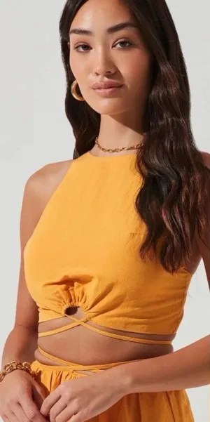 Astr The Label Marigold Divine Tie Waist Crop Top ONLY Linen Blend Size Small thumbnail 1