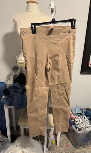 High-Rise Skinny Pants in Tan thumbnail 1