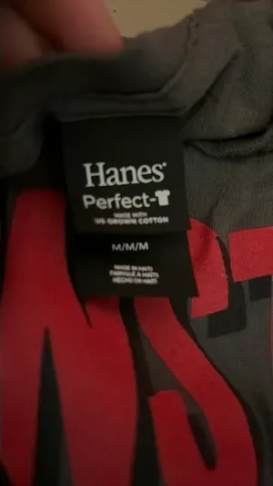 Hanes Georgia volleyball monster block shirt thumbnail 2