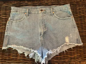 Wrangler Shorts thumbnail 1