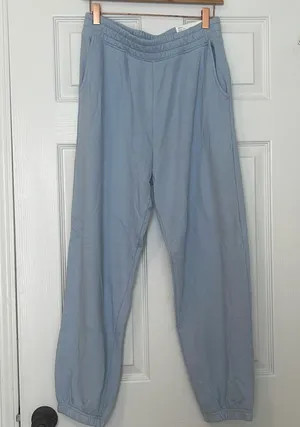 American Eagle NWT  blue boyfriend joggers thumbnail 1