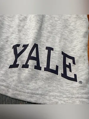 Primark Yale University Gray Athletic Shorts Collegiate small thumbnail 2