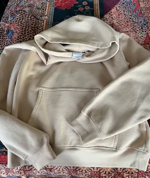 Aritzia hoodie  thumbnail 1
