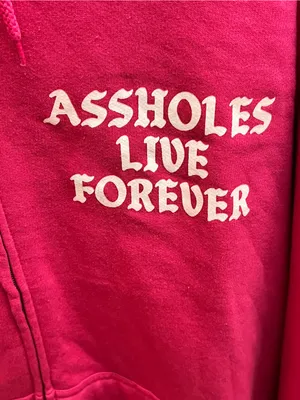 Assh**es Live Forever Pink Zip Hoodie Women’s XL Graphic Logo Oversized thumbnail 2