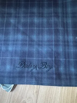 Dairy Boy MEADOW HEADSCARF Blue thumbnail 4
