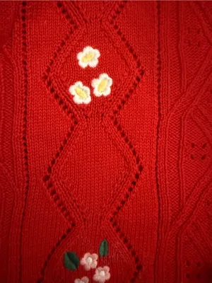 Hazel Moon Tie Front Floral Embroidered Cardigan Sweater Red Short Sleeve Large thumbnail 3