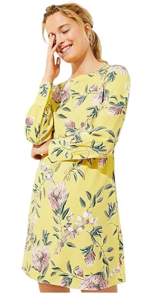 Ann Taylor LOFT Floral Print Boatneck Long Sleeve‎ Shift Dress Size 4 thumbnail 1