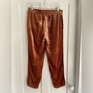 Madewell Track Pants‎ in Brown Velvet with Pockets thumbnail 8