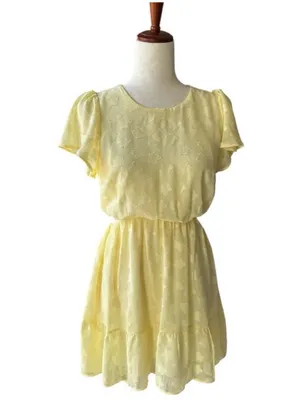 Show Me Your Mumu Merritt Mini Dress thumbnail 5
