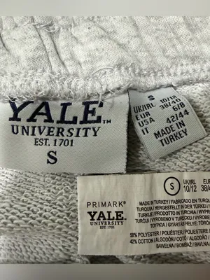 Primark Yale University Gray Athletic Shorts Collegiate small thumbnail 5
