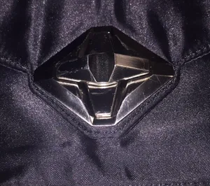Unique 7 for all mankind satin clutch. thumbnail 2