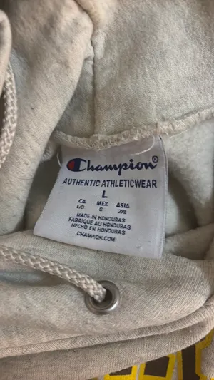 Champion Valparaiso Hoodie thumbnail 3