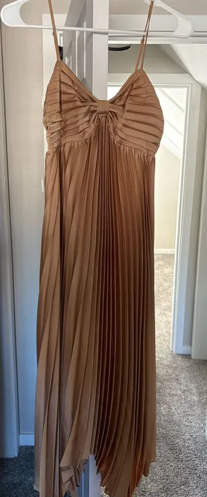 Petal & Pup Maxi Pleated Dress thumbnail 1